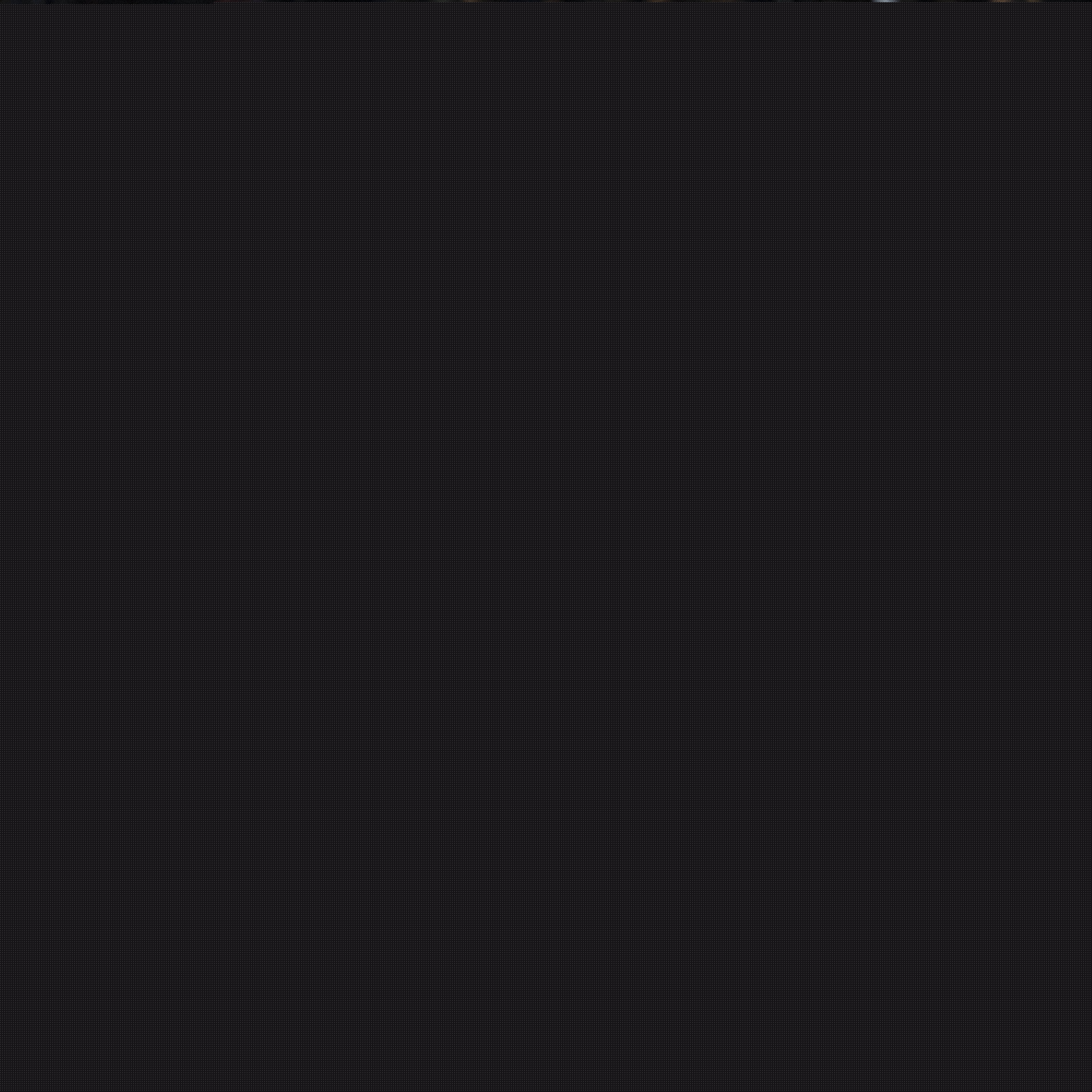 其快速的突